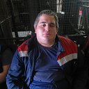 ���� ������� Li, ������, 53 ���� - ��������� 31 ���� 2026 � ������ ���� ����������