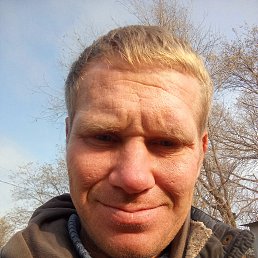 �������, 41 ���, ���������