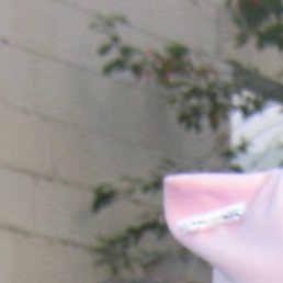 �����, ����-��, 58 ���