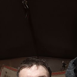 , 37 , 