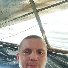 , 26, 