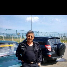, 66 , 
