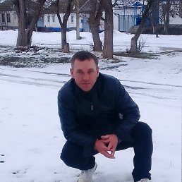 , 53 , 