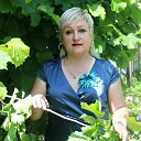 ���� �������, ������-��-����, 49 ��� - ��������� 12 ������� 2025 � ������ ���� ����������