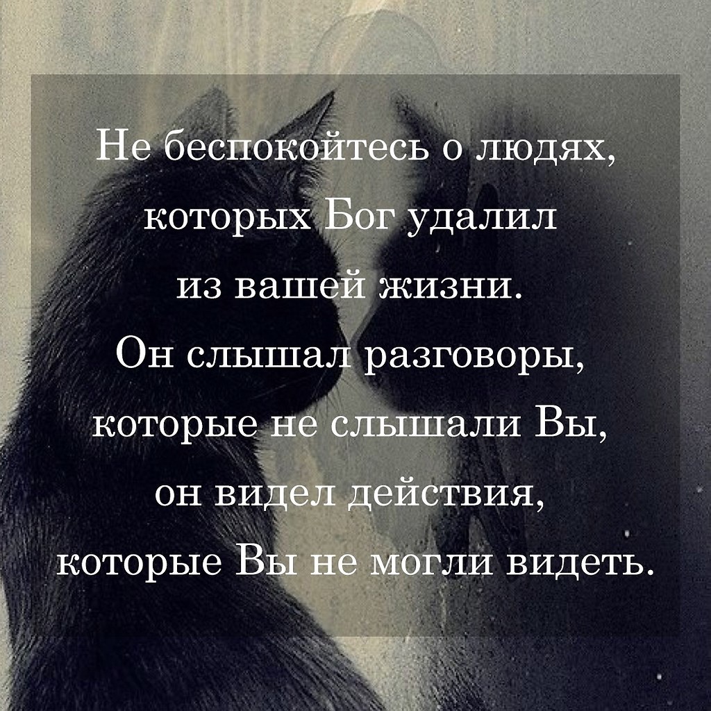   - 15  2025  19:26