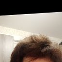 ���� ����, ���������, 62 ���� - ��������� 15 ������ 2026