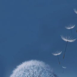 �����, �������, 28 ���