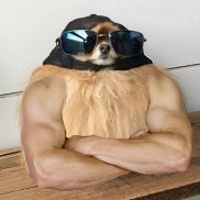 �������, 22 ����, ������