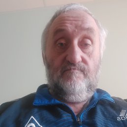 , 65, 