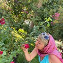 ���� �����, �������, 44 ���� - ��������� 1 ������� 2024 � ������ ���� ����������