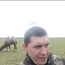 ���� ����������, �����, 39 ��� - ��������� 17 ������ 2026 � ������ ���� ����������