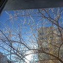 ���� ����, �������, 42 ���� - ��������� 18 ������ 2026 � ������ ������ ��������