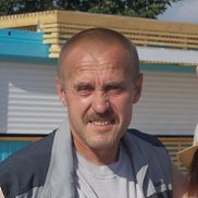 , 54 , 