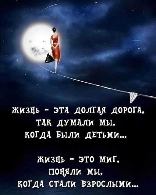��� ���� - 8 ����� 2026 � 23:12