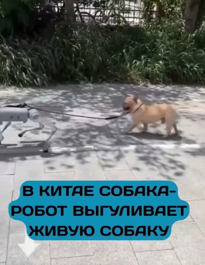 ��ae po�o-�c �a�e��e� �o����a � �������ae� �ac�o���� co�a��. ��ae �o����oc� ���eo, ��e po�o-�c ... - 2