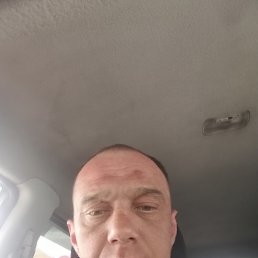 , 41 , -