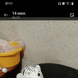 ������ ������, ������, 48 ���