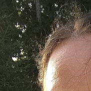 �����, 46 ���, �������