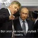 ���� �����, ������, 57 ��� - ��������� 6 ������ 2026 � ������ ���� ����������