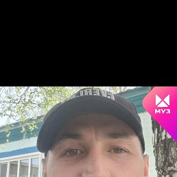 , 37, 