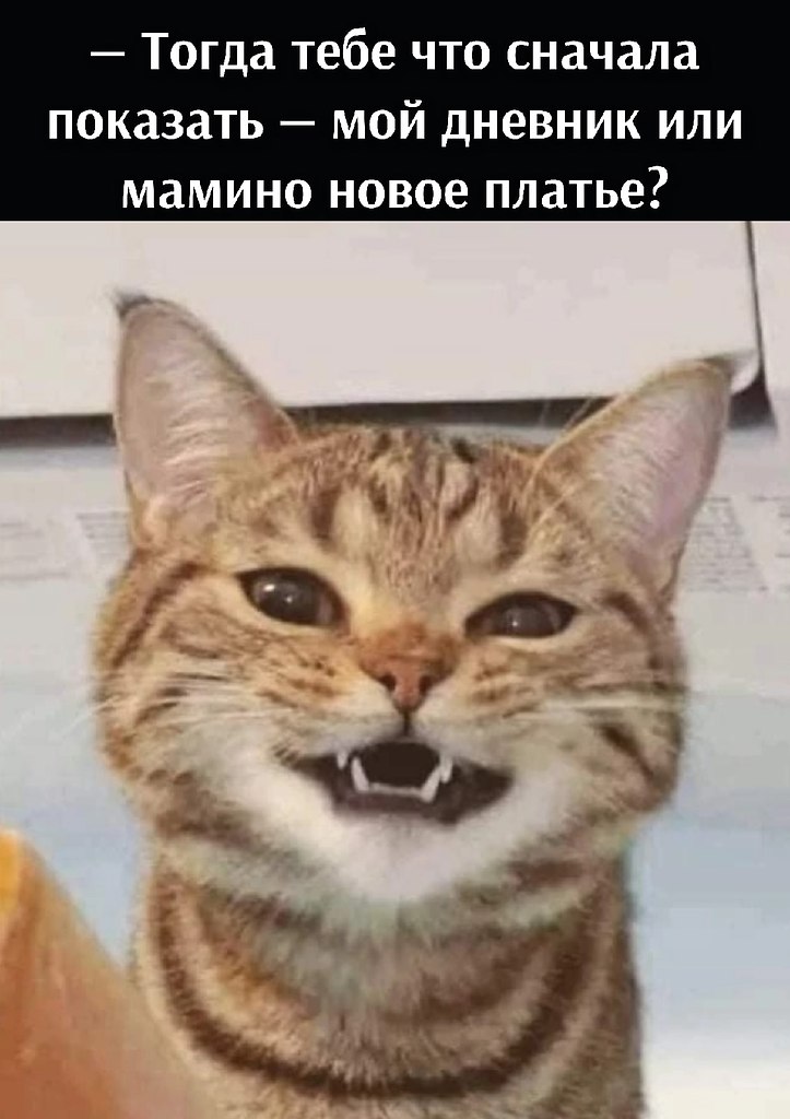       - 2  2025  10:58 - 3