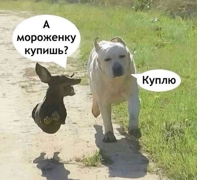 ,     - 2
