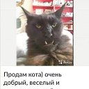 ���� ������, ������ ��������, 51 ��� - ��������� 27 ������� 2023 � ������ ���� ����������