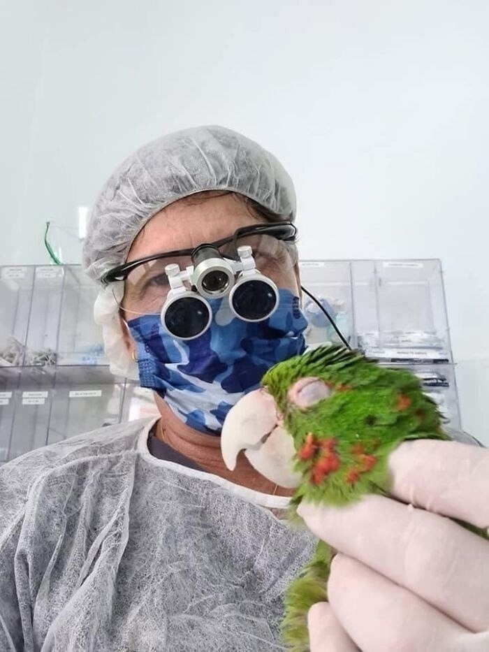     3D     ,       ... - 6