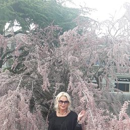 �����, ������, 58 ���