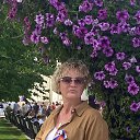 ���� ����, �����, 52 ���� - ��������� 1 ���� 2025 � ������ ���� ����������