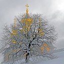 ���� ����, ��������� - ��������� 14 ������ 2026 � ������ ������ ��������