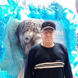 �������, ������, 69 ���