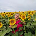 ���� �����, �����������, 37 ��� - ��������� 7 ������ 2025 � ������ ���� ����������