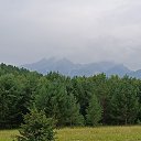  , , 55  -  5  2024     2024