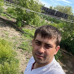 , 33 , 