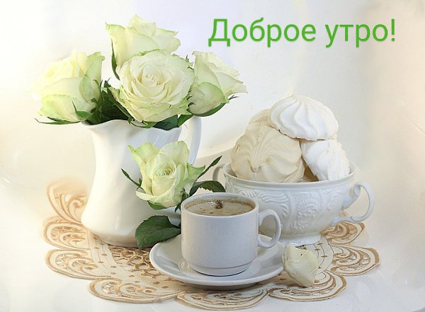   ,    . - 11  2025  21:30 - 2