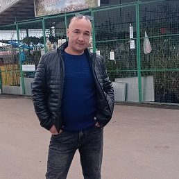 , 42, 