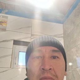 , 44, 