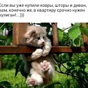 ���� �����, ������, 67 ��� - ��������� 27 ������ 2024 � ������ ������ ��������