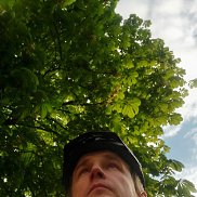 , 35 , 
