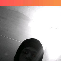 ������, ����, 20 ���