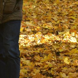 ������, ������ ��������, 35 ���