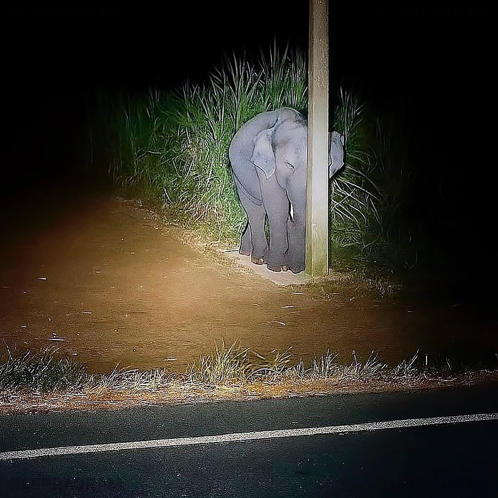 ���� ���� ����... ����� �������� ��������� �� ��������� ��������� ���������, � �� ��������� ...