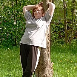 , 52, 