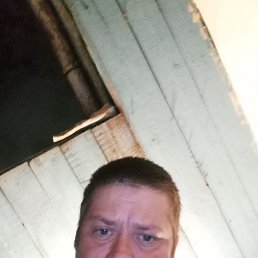 , 37, 