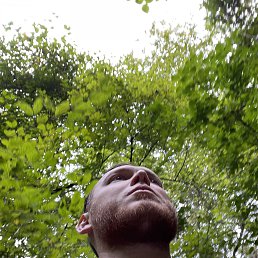 , 36, 