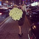���� �������, �����������, 23 ���� - ��������� 24 ����� 2026 � ������ ���� ����������