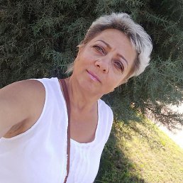 �����, �������, 62 ����