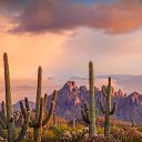 ���� ������, �����, 27 ��� - ��������� 29 ������� 2025 � ������ ���� ����������