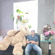 , 33 , 